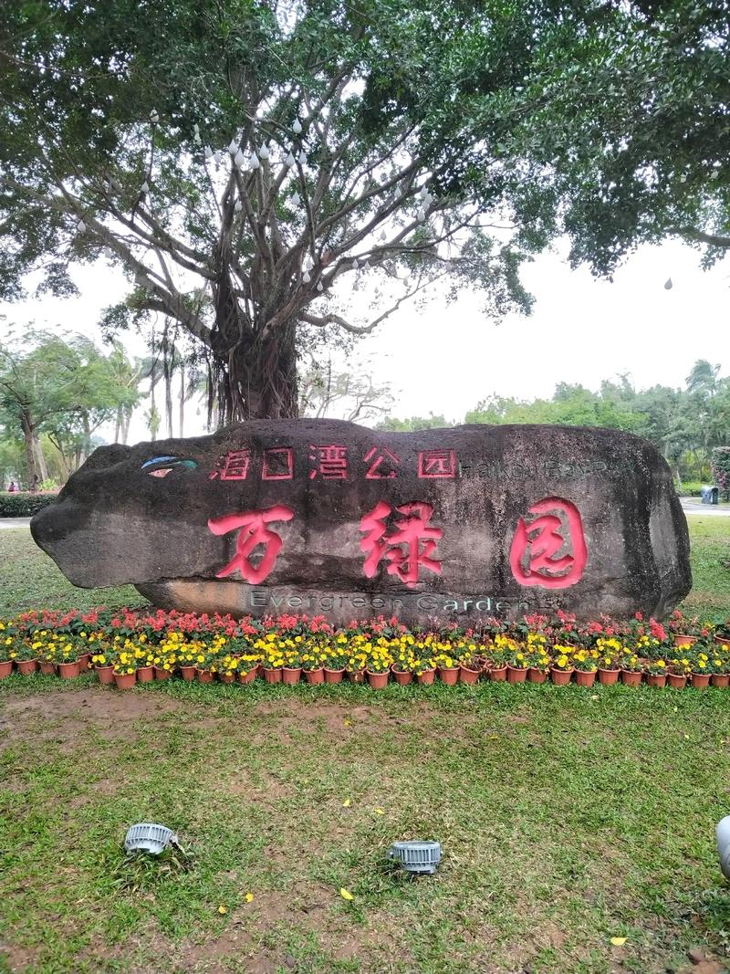潮流商业新风尚：龙华区百货零售业的发展动态